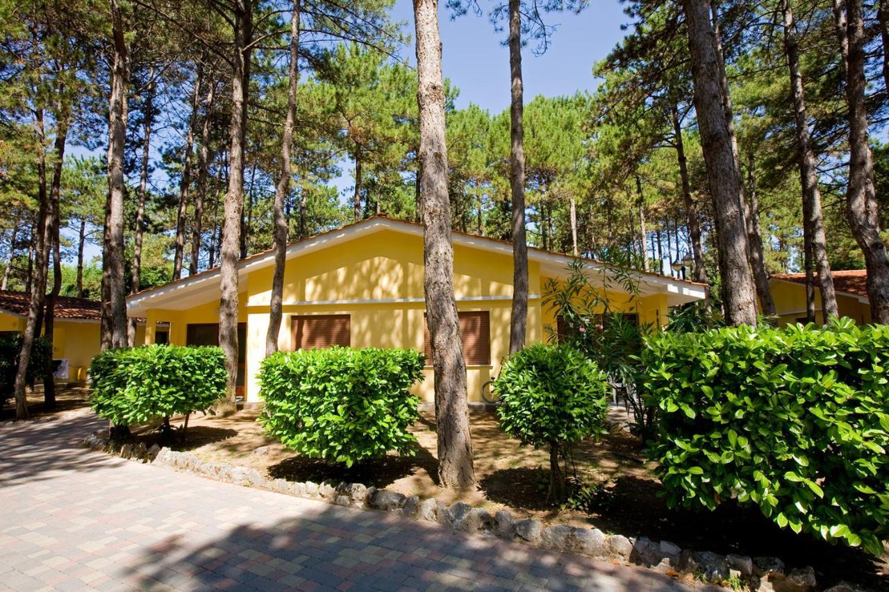 Superior Villa